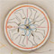 Compass Which Way Home 1
