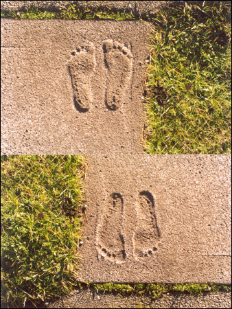 Port Townsend Feet