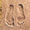 Port Townsend Feet