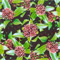 Skimmia Male Flowers Mandala